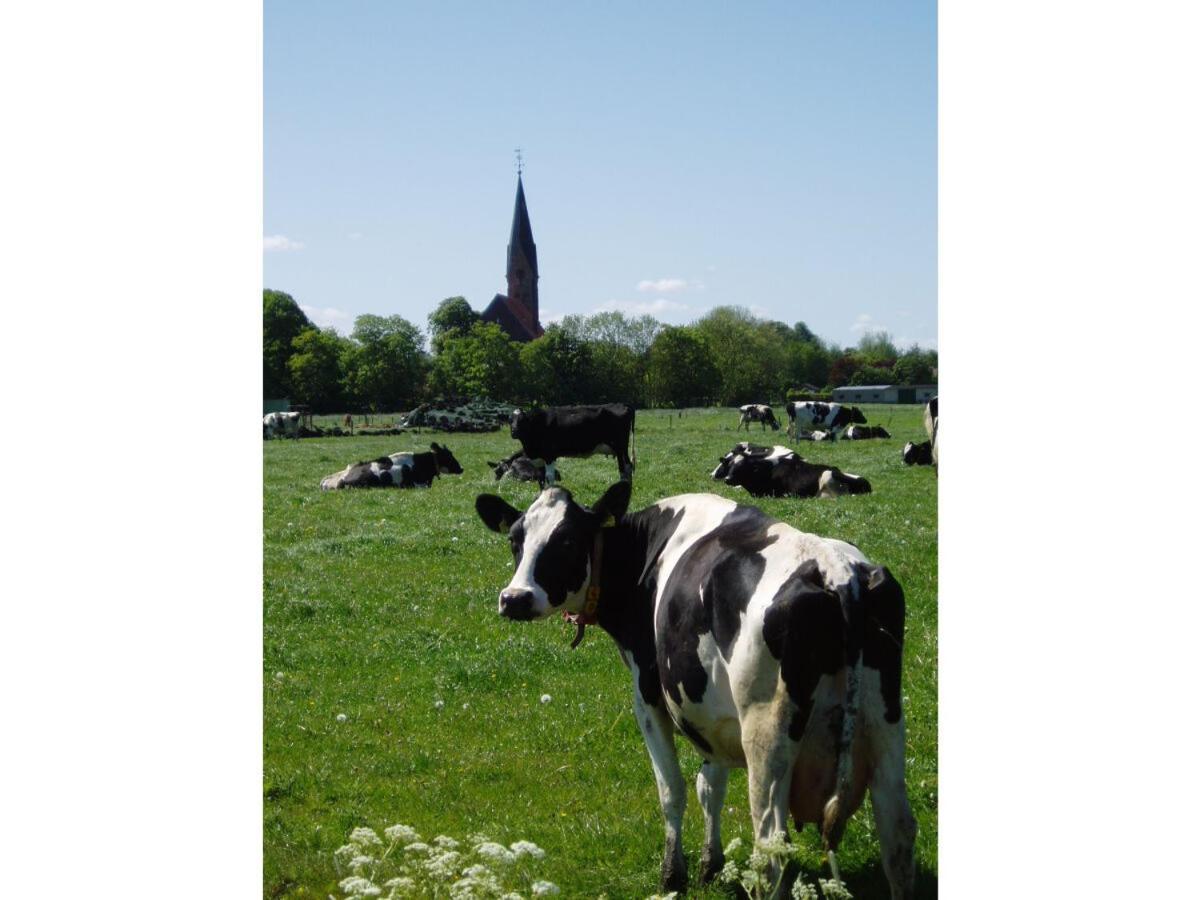 Ferienwohnung Hein Am Nordseedeich Butjadingen Exteriér fotografie