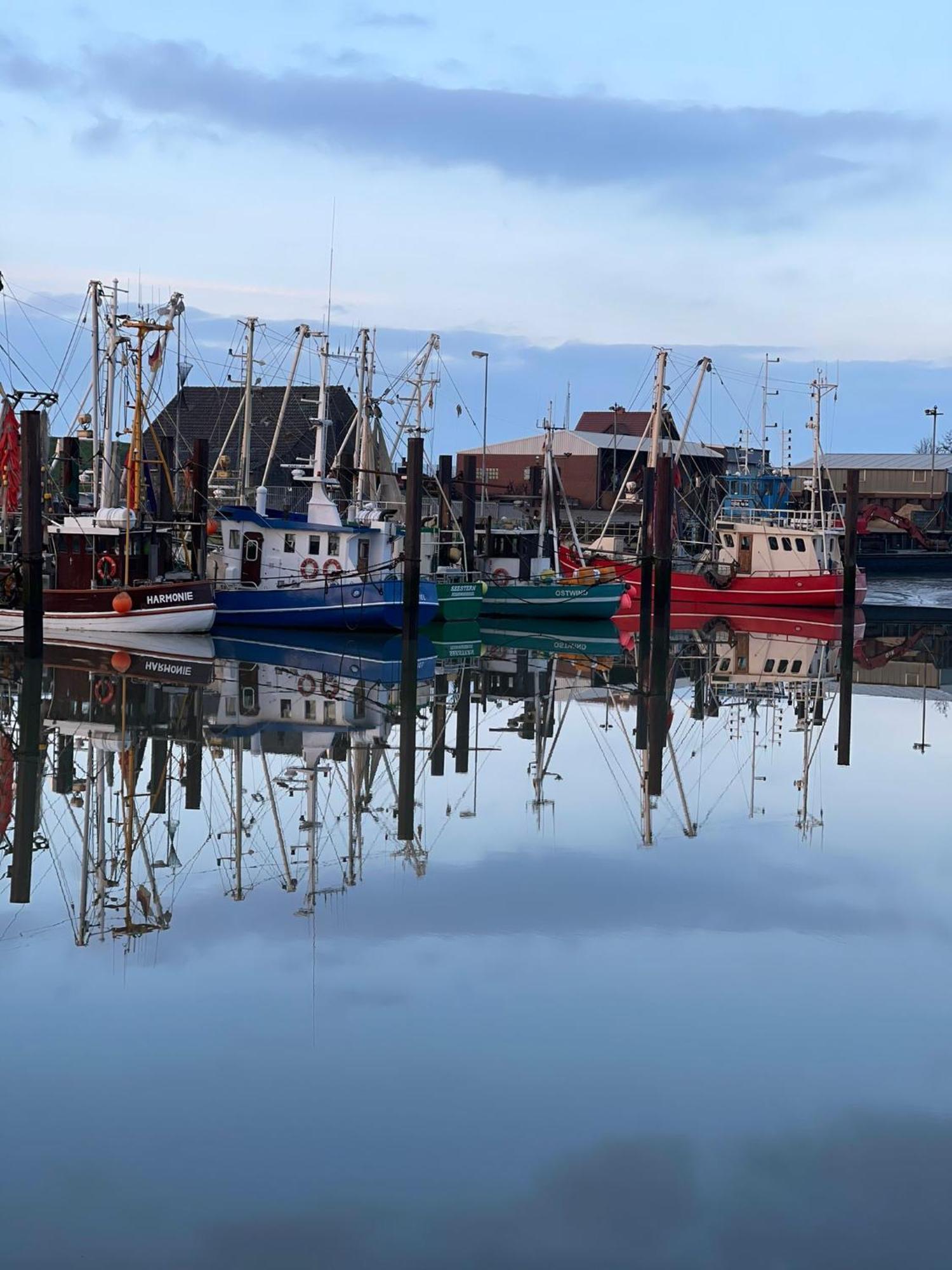 Ferienwohnung Hein Am Nordseedeich Butjadingen Exteriér fotografie