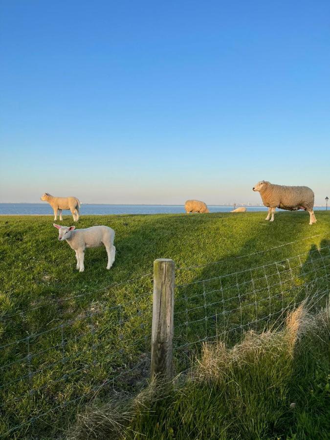 Ferienwohnung Hein Am Nordseedeich Butjadingen Exteriér fotografie